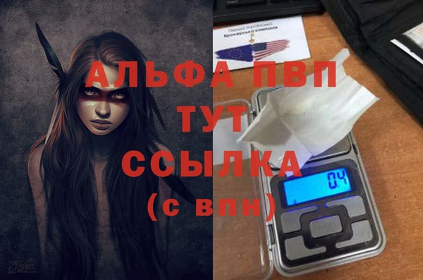 прущие крисы Киренск